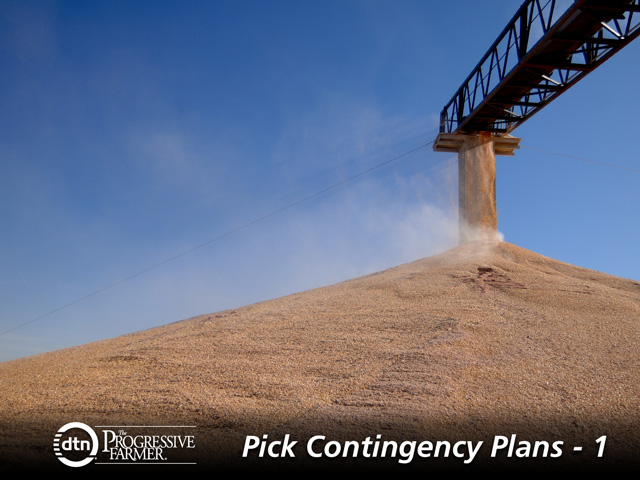 A 2014 bin-buster corn crop could trigger ARC payments worth up to $90 per acre in some counties. Wheat and soybeans could also stand to collect ARC checks under certain conditions and yields, land grant economists say. (DTN/The Progressive Farmer photo by Jim Patrico)